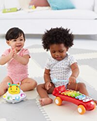 Skip Hop EM Emekleme Oyuncağı  Arı