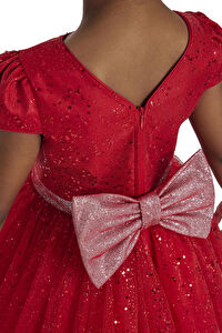 34001 PR  3 7 AGE Ecru Girls Glittery Tulle Dress