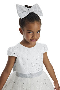 34001 PR  3 7 AGE Ecru Girls Glittery Tulle Dress