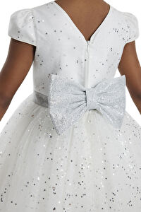 34001 PR  3 7 AGE Ecru Girls Glittery Tulle Dress