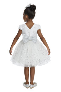 34001 PR  3 7 AGE Ecru Girls Glittery Tulle Dress