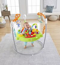 FISHER PRICE YAGMUR ORMANI JUMPEROO